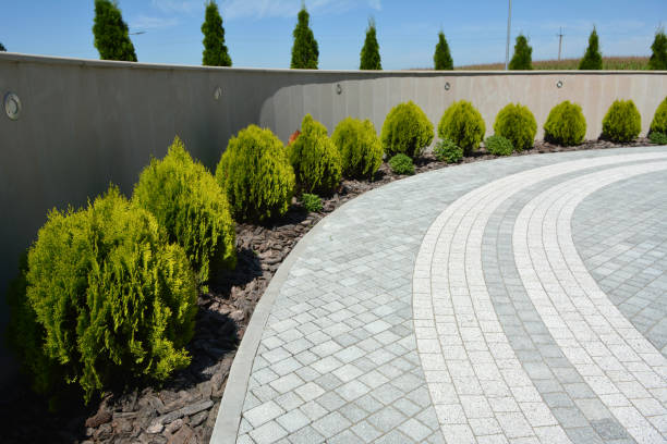 Best Custom Driveway Pavers  in Little Cypress, TX
